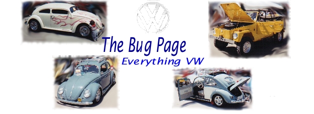 The Bug Page