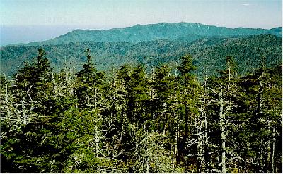 Clingman's Dome