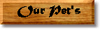 Pet's Page