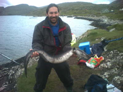 conger eel