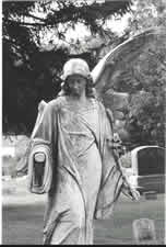 broken angel picture by Jen?