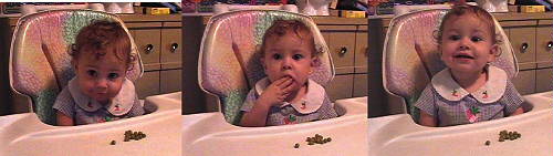 taken in the summer of 2001