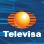 Ley Televisa: Por el rating?