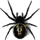 https://www.angelfire.com/tn/webrpg/images/picspider1b.gif