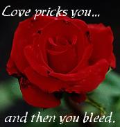 Love is like a red, red rose...