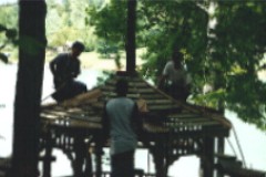 addeding the ceder shingles