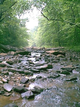 creek03