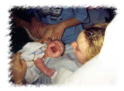 p14.jpg (93818 bytes)