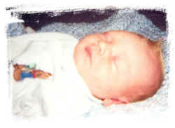 p4.jpg (60001 bytes)