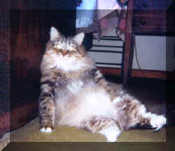 tuti2.jpg (83491 bytes)