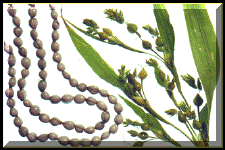 job2b.gif (40691 bytes)