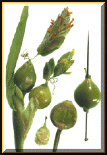 job4b.gif (26984 bytes)