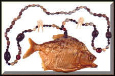 pirana1b.gif (33334 bytes)