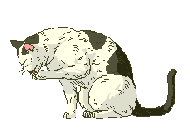 There are many like me who need a nice home!