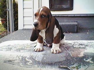 Nope, I already gotta home!