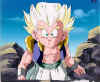 dbz-7.jpg (21185 bytes)
