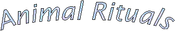 Animal Rituals
