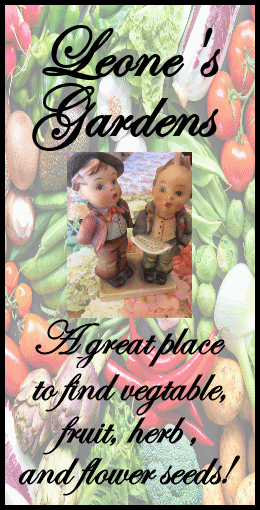 Click on here to go to Web's tats