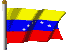 Venezuelan Flag