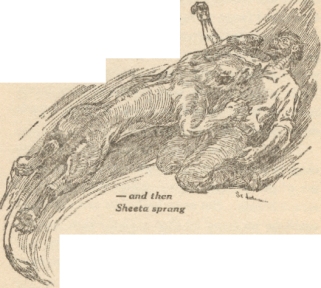 XVII. On the Deck of the Kincaid: -- and then Sheeta sprang