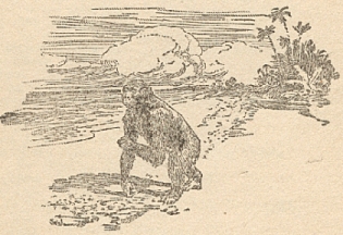 XXI. The Law of the Jungle