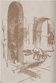 It was my first experience with a Martian watch dog.