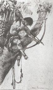 The arrow, aimed with care, lodged in the lion's spine