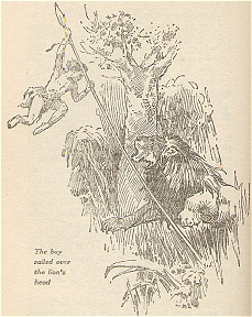 VII. The boy sailed over the lion's head
