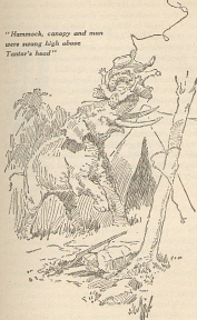 XXIV: Hammock, canopy and man were swung high above Tantor's head