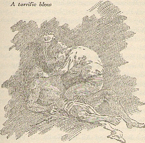 XXV. A terrific blow