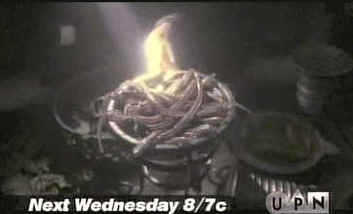 Gagh.JPG (8989 bytes)