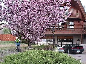 Grandson Soulin at 41 Kensington