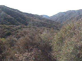 View of the Pacific, LAX and LA in the distance