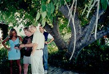 Lydie, Bill Hillman and Patrice Bonnyrat under the famous Burroughs tree