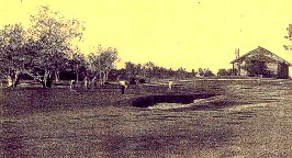 No. 16 Green and Koonskin Kabin