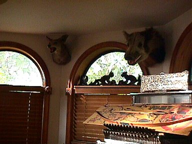 ERB's famous boar head