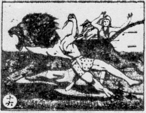 Card 16: The lion jumped up but couldn't hurt Tarzan. Tarzan took his short knife out and killed the lion.