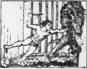 Card 19: When the lion came, Tarzan closed the gate and fought a duel with him.