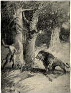 Jungle Tales of Tarzan Frontispiece: St. John