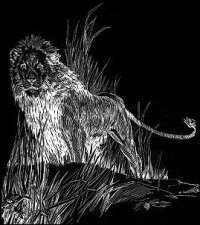 Numa Line Drawing by St. John