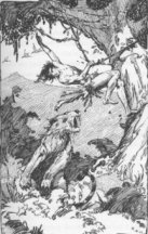 Tarag: It sprang high into the air after me