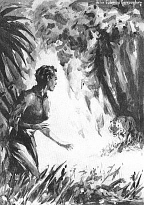 Tarzan and 'The Foreign Legion' - John Coleman Burroughs: Voiced a low growl and started forward