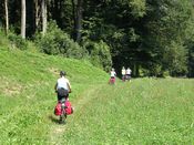 Shortcut through the fields