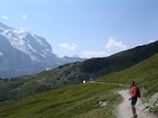 Trail to the Alps