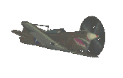 P-40 ani