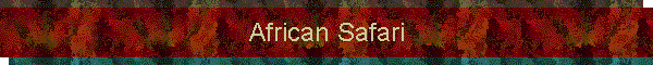 African Safari