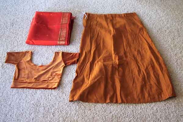 sari0.jpg (23812 bytes)