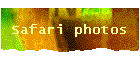 Safari photos