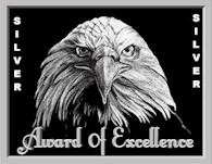 Excellence Silver Award