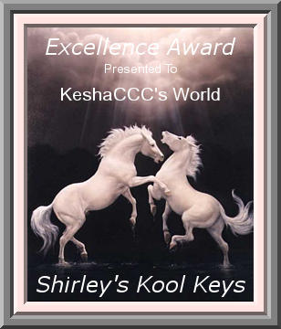 Shirleys Kool Keys Award